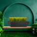 A Floridis Amsterdam rectangular black planter on a bench with green leaves.