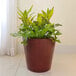 A Floridis red marble round planter with a plant inside.