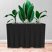 A plant in a black rectangular planter.