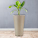 A Floridis Genebra round beige planter with a plant in it.