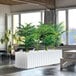 A living room with a Floridis Dubai square black planter holding a plant in front of a window.