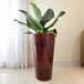 A large plant in a Floridis round red marble planter.