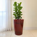 A potted plant with green leaves in a Floridis red marble planter.