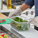 A person in gloves holding a Vollrath clear plastic food pan with green leaves in it.