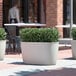 Three Lancaster Table & Seating Marie gray planters on an outdoor patio table.