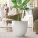 A Lancaster Table & Seating Erin white planter with a plant inside.