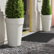 Two large Lancaster Table & Seating white planters on a brick walkway with plants in them.