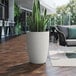A Lancaster Table & Seating gray planter with a potted plant on a wood floor.
