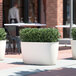 Three Lancaster Table & Seating white planters with plants in them on a sidewalk.