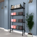 A black wall-mounted shelf with books and a plant in a pot.