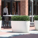 Three Lancaster Table & Seating white planters filled with plants on a sidewalk.