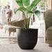 A Lancaster Table & Seating Erin black planter with a large plant inside.