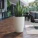A potted plant in a white Lancaster Table & Seating planter on a wooden deck.
