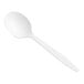 A close-up of a white plastic Choice soup spoon.