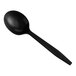 A black plastic soup spoon with a long handle.