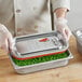 A person in gloves holding a metal container of green peas over a stainless steel table.