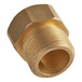 A brass threaded MainStreet Equipment 3/4" adapter.
