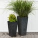 Two Novelty Manufacturing Co. black rectangular tall planters with green plants in them.
