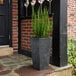 A black Novelty Manufacturing Co. square planter with a plant in it.