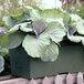 An EarthBox green planter with leafy plants growing in it.