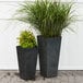 Two Novelty Manufacturing Co. black square planters with tall green plants in them.