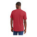 A man wearing a heathered red District t-shirt.