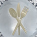 A set of beige plastic cutlery including a spoon, knife, and fork arranged on a plate.