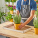 A man in an apron holding a white box of potted plants in Choice white corrugated greenhouse trays.