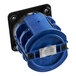 A blue and black Estella Caffe Main Switch Assembly with a black cover.