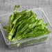 A plastic container of fresh sorrel with a bunch of green leaves.