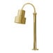 A brass Hanson Heat Lamp with a flexible mount and a brass base.