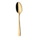 A Sola Durban Gold stainless steel serving spoon with a gold handle.