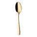 A Sola Netherlands stainless steel dessert spoon with a gold handle.