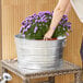 A woman holding a Behrens metal tub with purple flowers on a table.