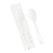 A close-up of a World Centric wrapped compostable TPLA spoon next to a plastic bag.