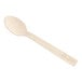 A World Centric compostable bamboo spoon with a wooden spoon end.