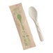 A World Centric compostable fiber spoon next to a wrapped packet of World Centric compostable fiber spoons.