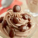 A bowl of ice cream with Albanese milk chocolate covered raisins.