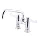 A chrome Equip by T&S deck-mounted faucet with wrist handles and a swing spout.