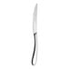 A WNK Ovation stainless steel dinner knife with a silver handle.