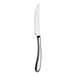 A WNK Ovation stainless steel steak knife with a silver handle.