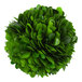A Mills Floral Company preserved boxwood ball with green leaves.