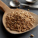 A wooden spoon filled with Regal whole coriander seeds.