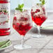 A glass of Monin cranberry flavored red liquid with berries and mint leaves.