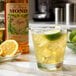 A glass of Monin Organic Agave Nectar Sweetener with ice and a lime slice.