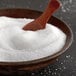 A bowl of Regal extra coarse kosher salt with a wooden spoon on top.