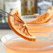 Dried grapefruit half slice held by tweezers over a glass of liquid.