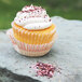 A cupcake with white frosting and sprinkles on Wild Hibiscus Hibiscus Pyramid salt flakes.