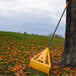 A True Temper dual tine poly leaf rake leaning against a tree in the grass.