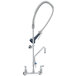 A T&S chrome pre-rinse faucet with a hose.